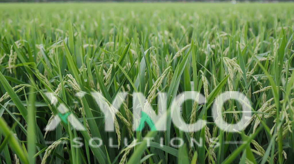 Xynco Solutions - "best seo company near me" "technology and innovation" "software service company" "energy and sustainability" "solar energy services" "business solutions" "solar energy services Pakistan" "website development" "SEO services"