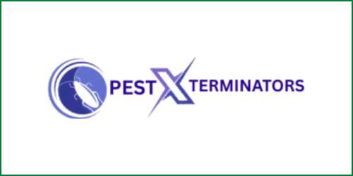 Xynco Solutions - "best seo company near me" "technology and innovation" "software service company" "energy and sustainability" "solar energy services" "business solutions" "solar energy services Pakistan" "website development" "SEO services"