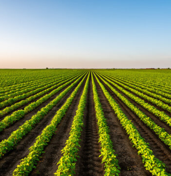 Xynco Solutions - "best seo company near me" "technology and innovation" "software service company" "energy and sustainability" "solar energy services" "business solutions" "solar energy services Pakistan" "website development" "SEO services"