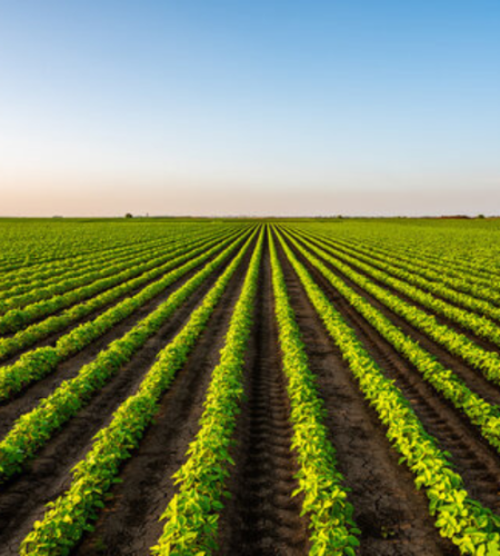 Xynco Solutions - "best seo company near me" "technology and innovation" "software service company" "energy and sustainability" "solar energy services" "business solutions" "solar energy services Pakistan" "website development" "SEO services"